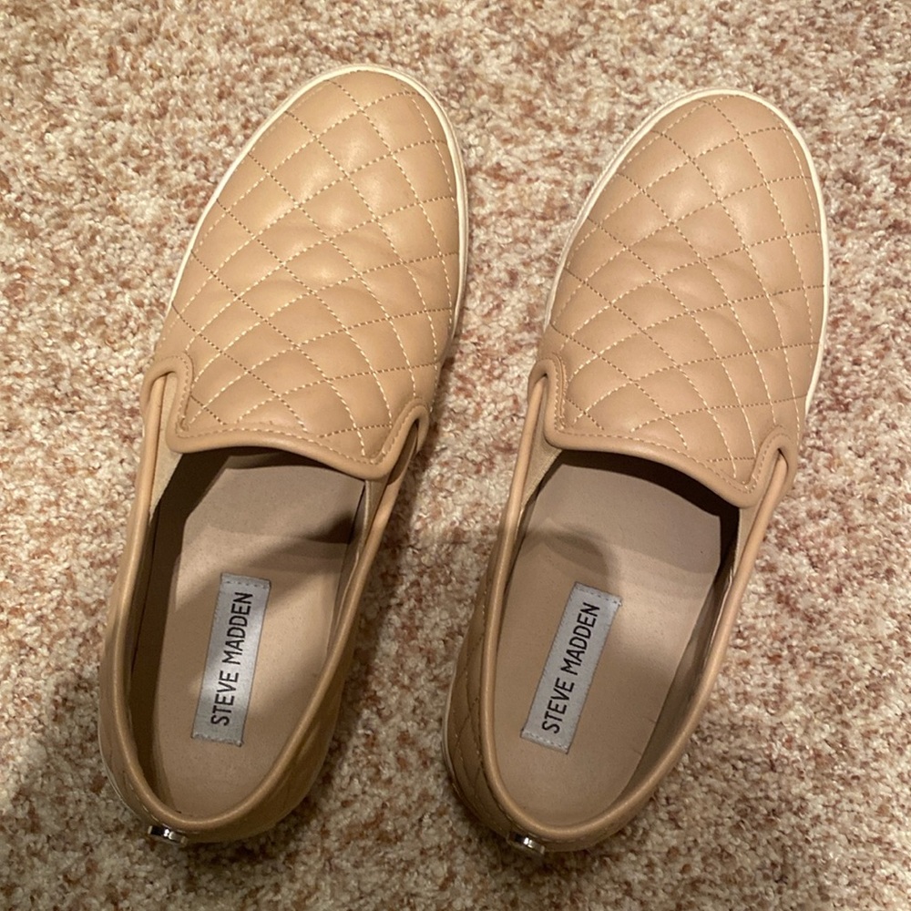 Steve Madden Ecentrcq